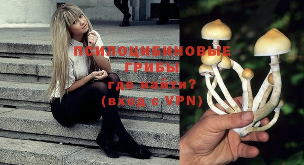 гидропоника Нязепетровск