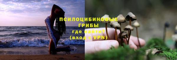 ECSTASY Остров