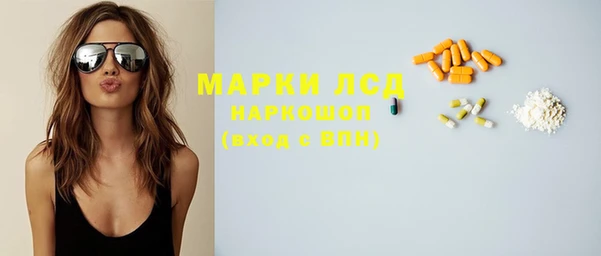 гашик Осинники