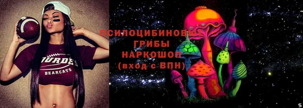 гашик Осинники