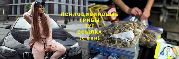 соль курить ск Няндома