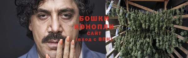 гашик Осинники
