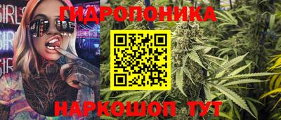 Альфа ПВП Дубна