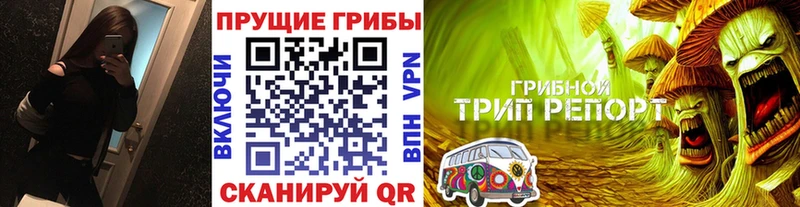Псилоцибиновые грибы Cubensis  хочу наркоту  Советский 