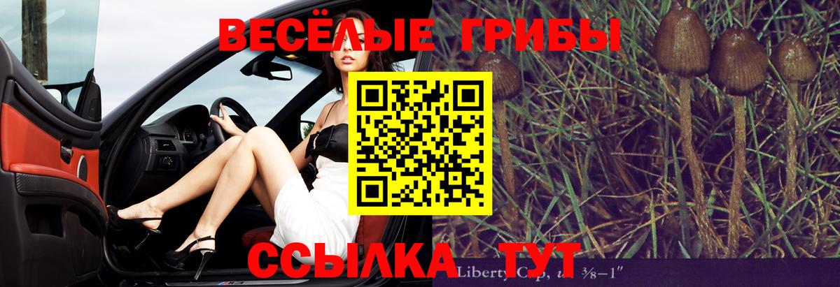 Советский  купить наркотики цена  Псилоцибиновые грибы мухоморы  Вход с VPN  Галлюциногенные грибы Psilocybe 