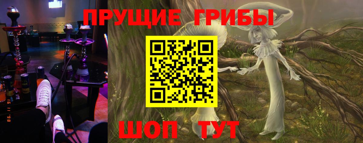 Псилоцибиновые грибы мицелий  Псилоцибиновые грибы Psilocybe  Советский 